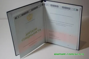 Купить диплом ВФ РГУТиС — Волгоградского филиала Российского государственного университета туризма и сервиса в Сыктывкаре
